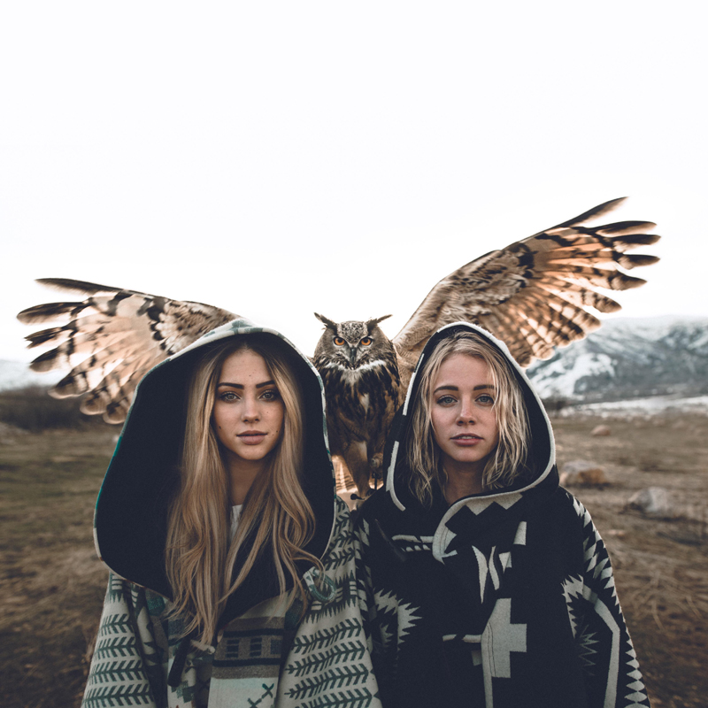 Please wait while picture loads