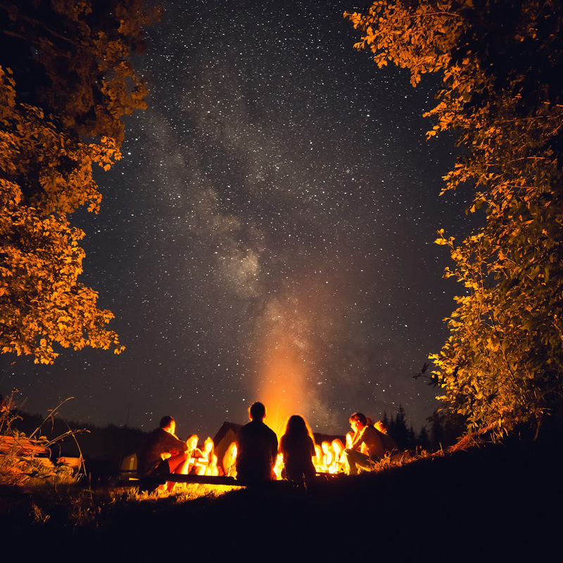 Please wait while picture loads