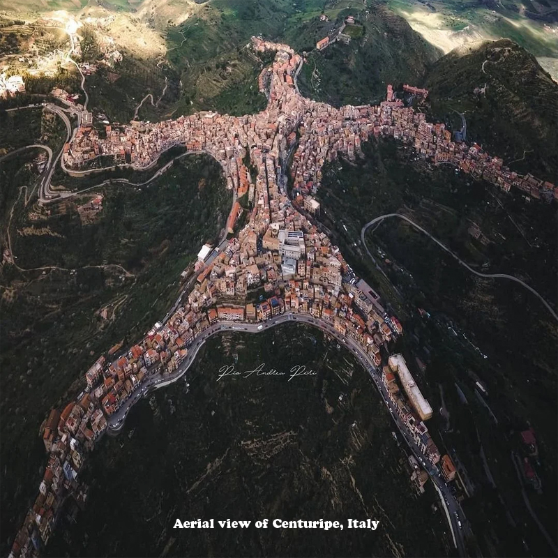 Please wait while picture loads