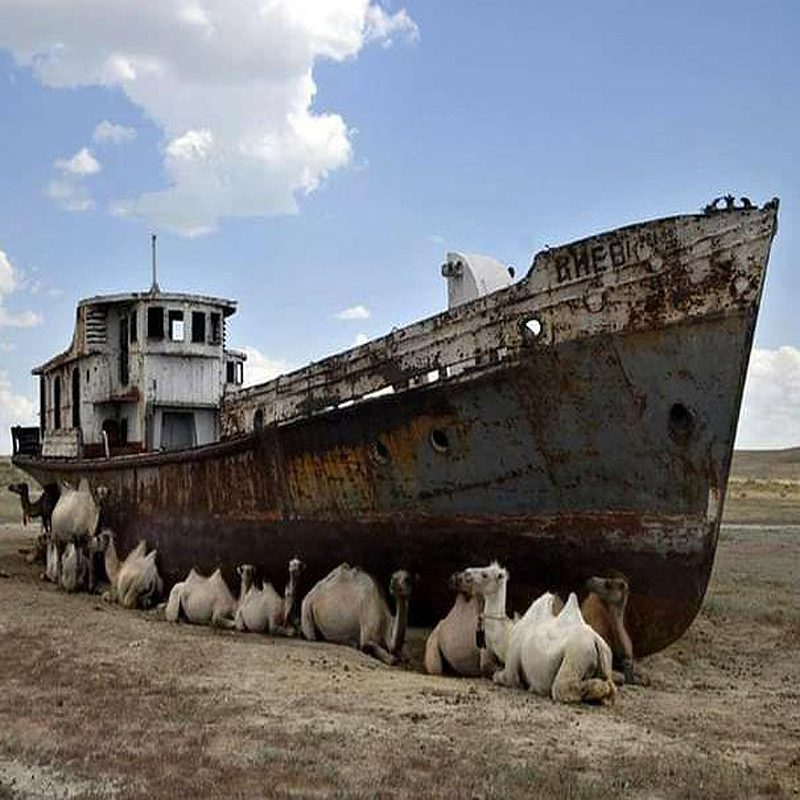 Please wait while picture loads