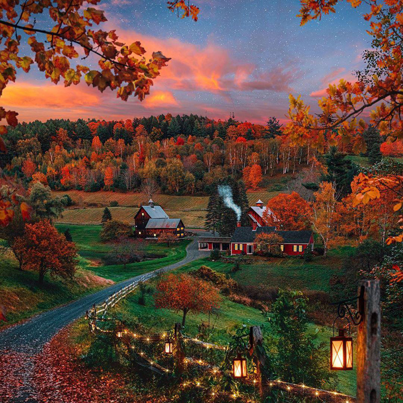 Please wait while picture loads