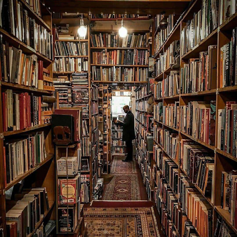 Please wait while picture loads