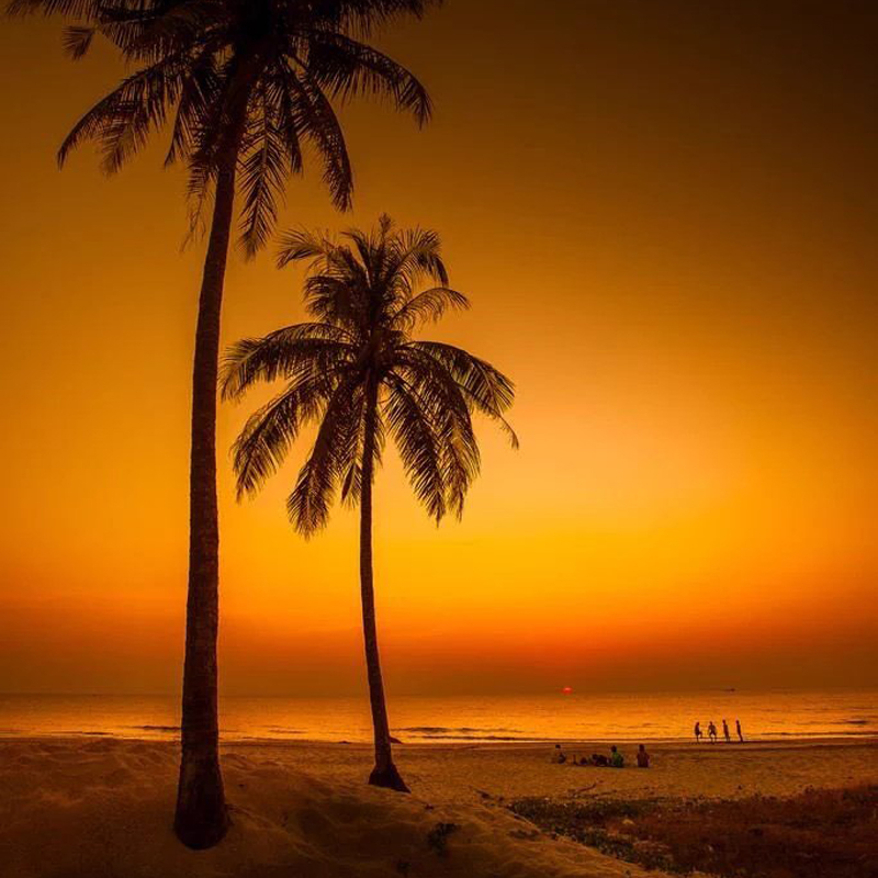 Please wait while picture loads