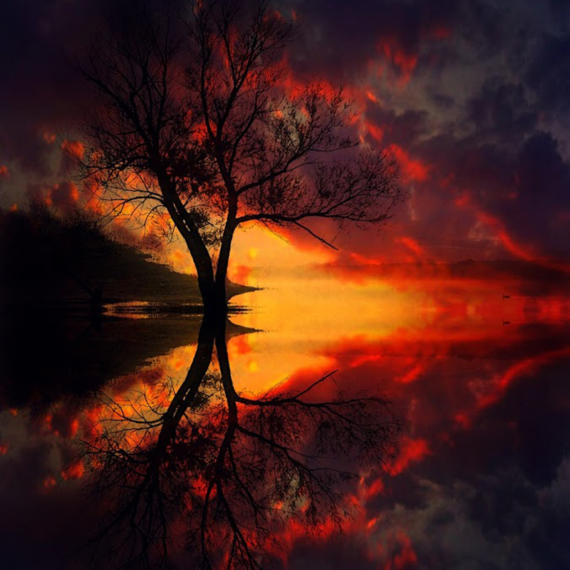 Please wait while picture loads