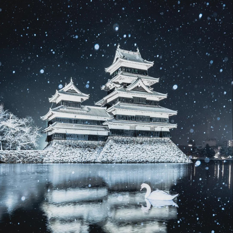 Please wait while picture loads