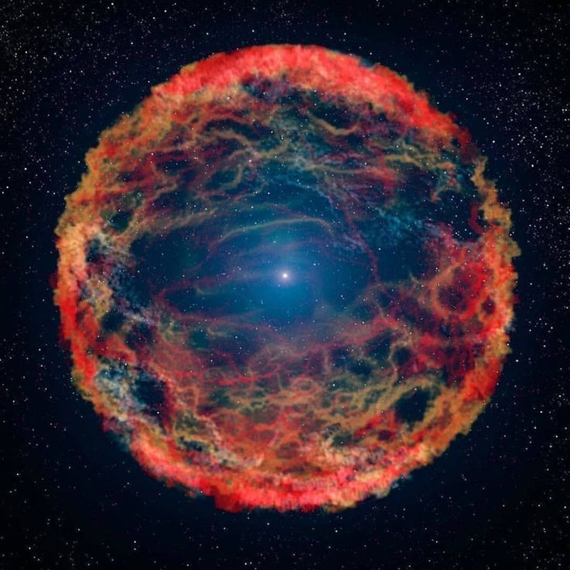 Please wait while picture loads