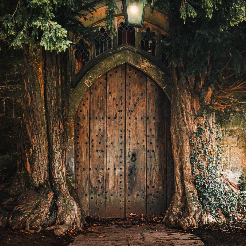 Please wait while picture loads