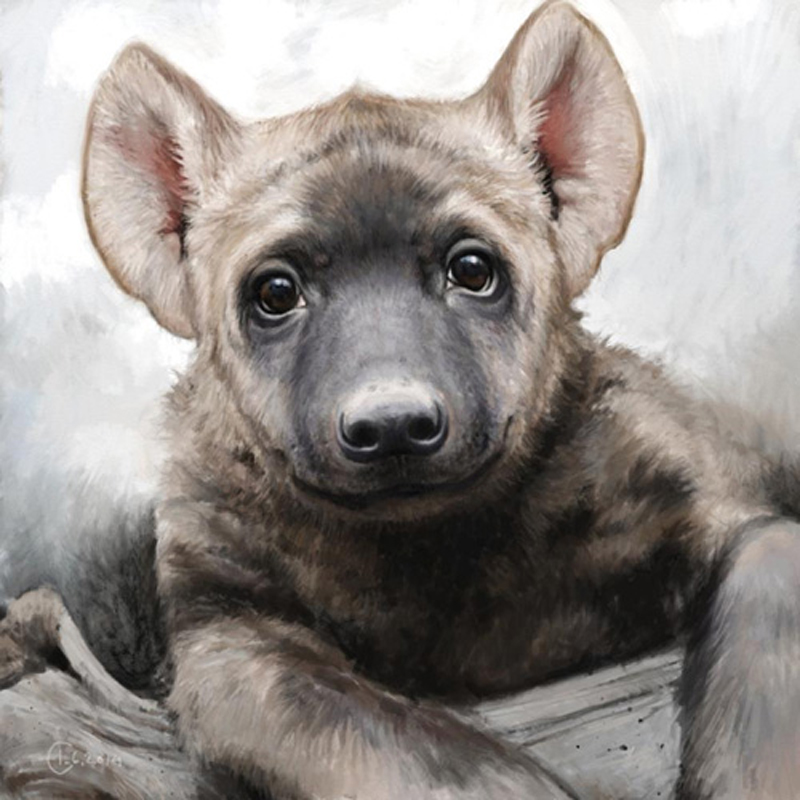 Please wait while picture loads