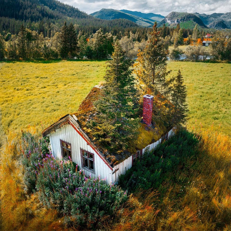 Please wait while picture loads