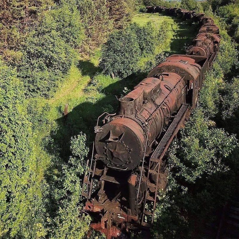 Please wait while picture loads