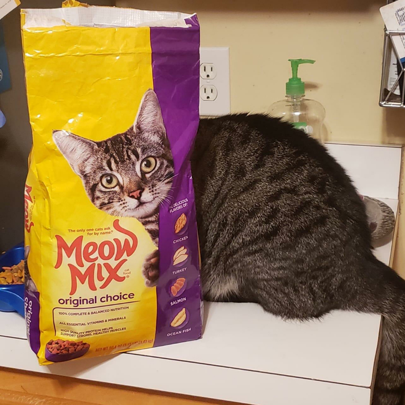 Please wait while picture loads