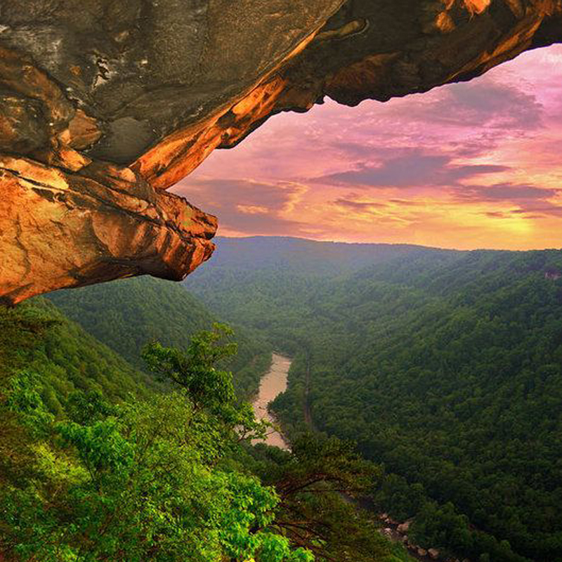 Please wait while picture loads