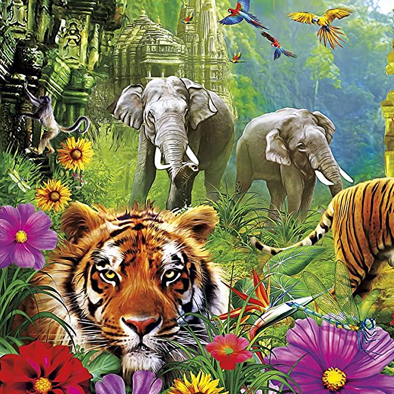 Please wait while picture loads