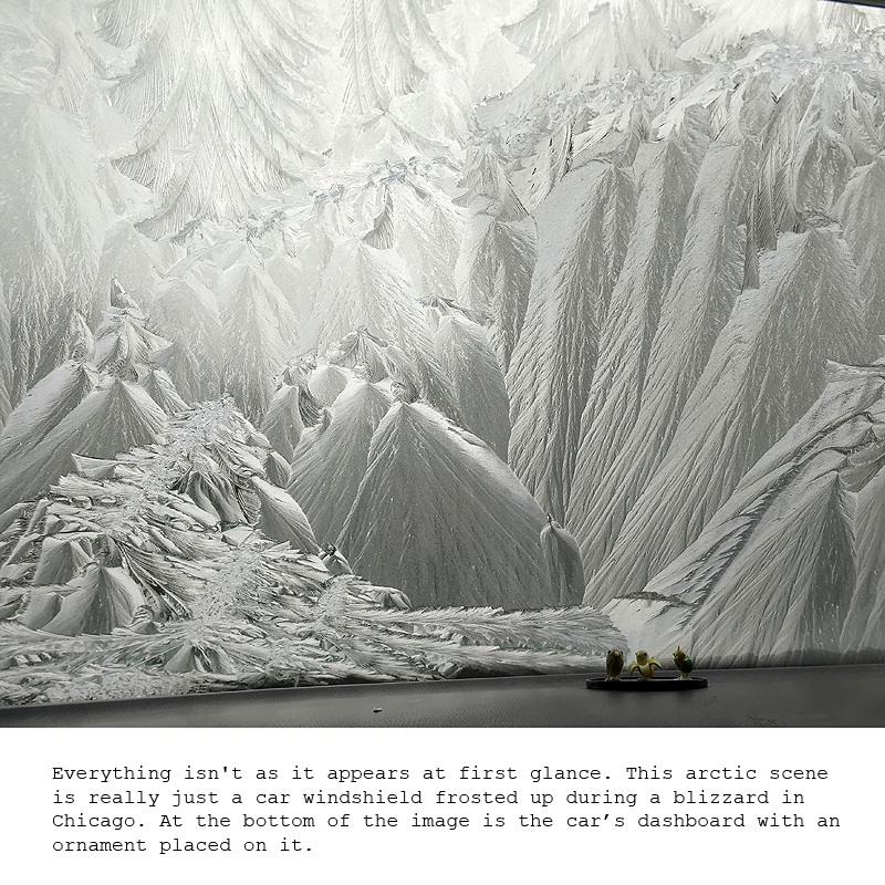 Please wait while picture loads