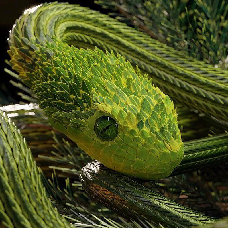 Please wait while picture loads