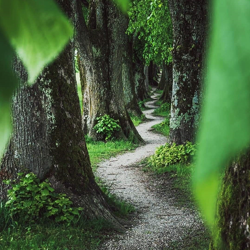 Please wait while picture loads