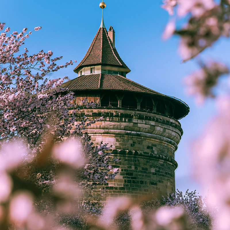 Please wait while picture loads