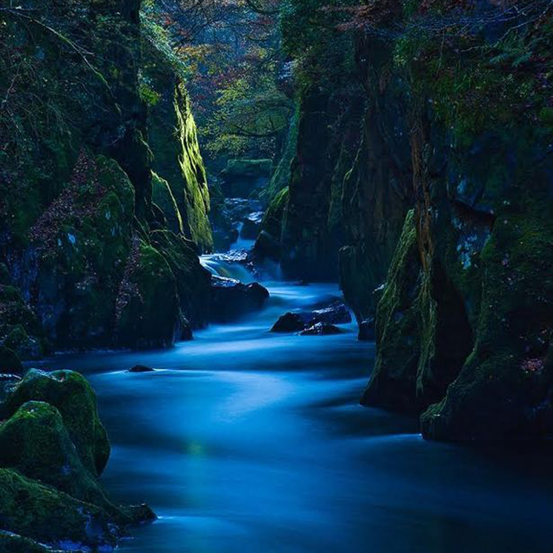 Please wait while picture loads