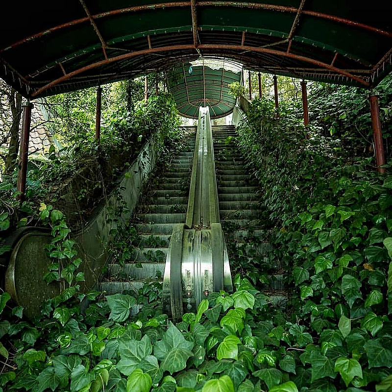 Please wait while picture loads